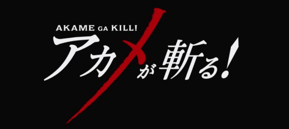 Akame Ga Kill – Anime Review