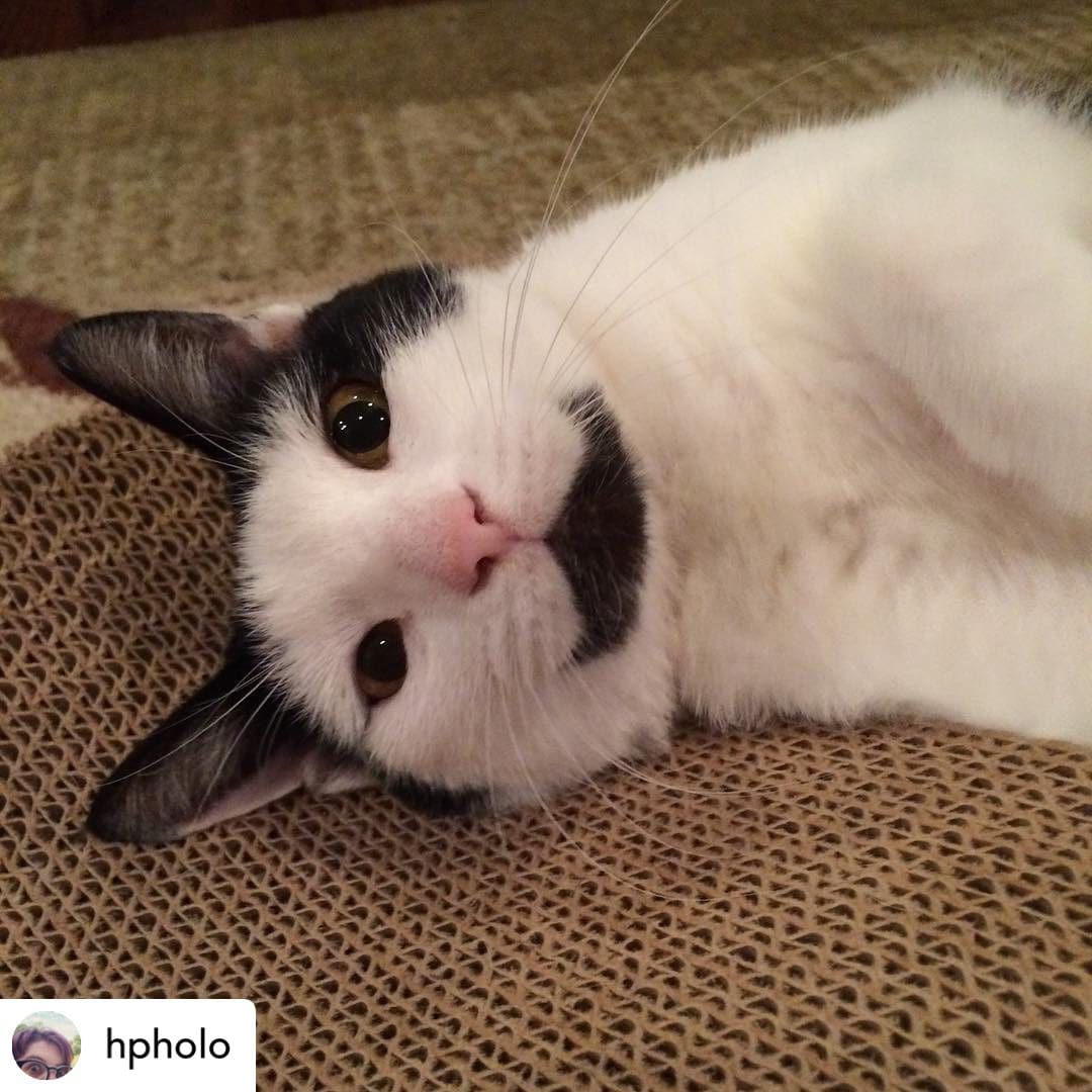 The Epic Tale of Nova